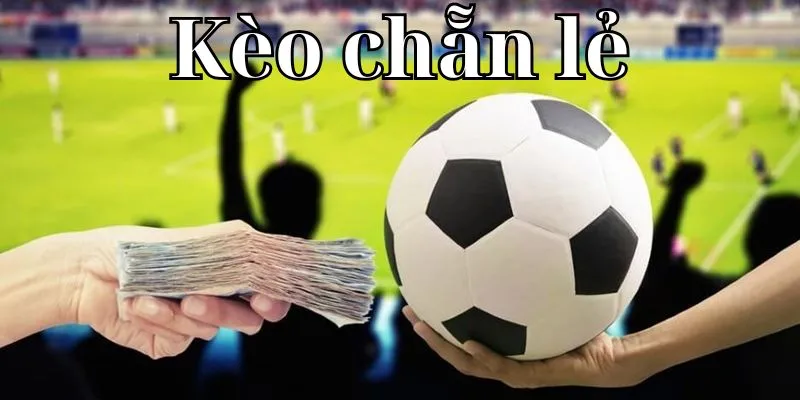 Cách đọc và phân tích kèo chẵn lẻ trên 7m