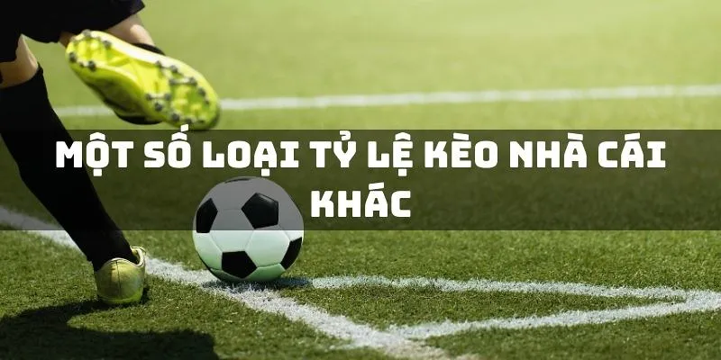 Tỷ lệ kèo nhà cái 7m là gì và tại sao quan trọng